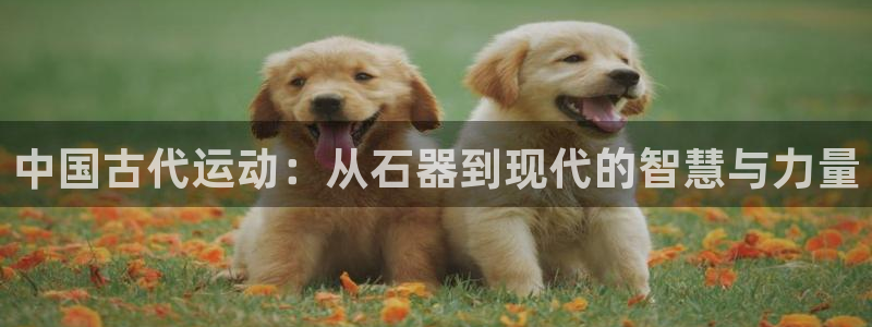 凯捷体育娱乐是那个系列的台子：中国古代运动：从石器到