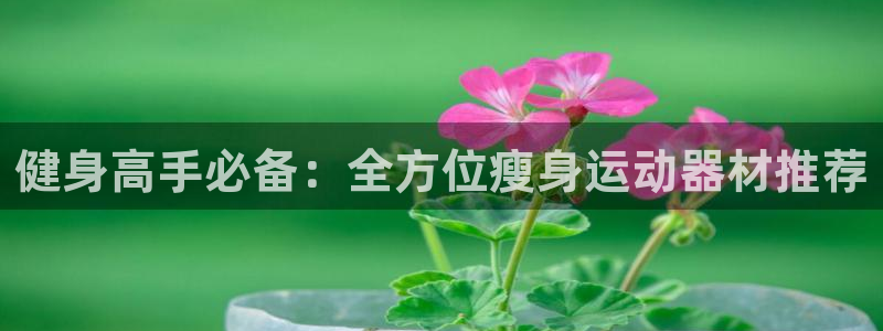 凯捷体育集团官网首页：健身高手必备：全方位瘦身运动器