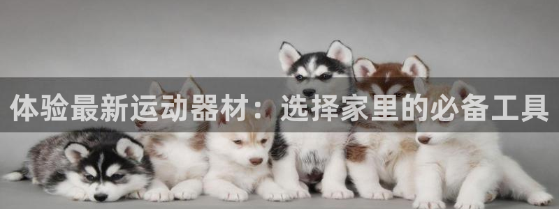 凯捷体育招商电话号码查询