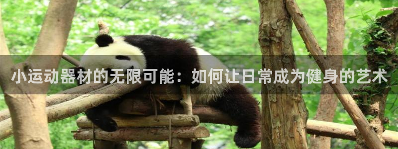 凯捷体育是干嘛的公司