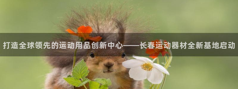 凯捷体育招商电话是多少啊：打造全球领先的运动用品创新