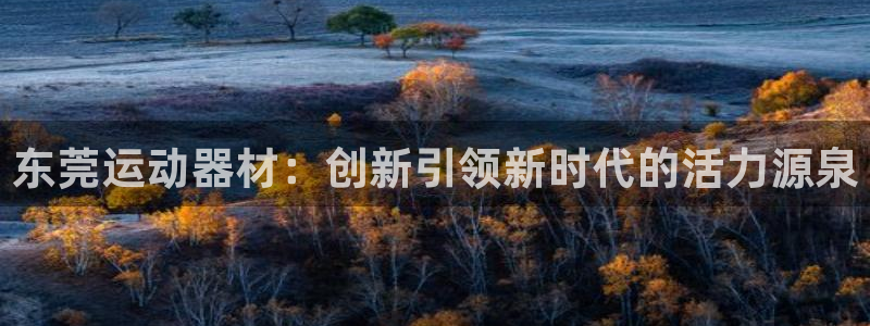 凯捷体育招商电话号码是多少啊:东莞运动器材:创新引领新时代的