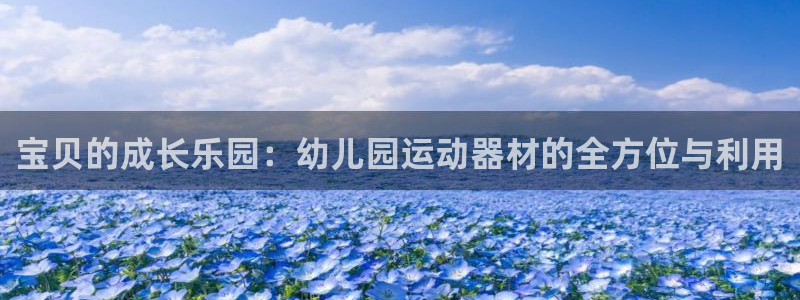 凯捷体育招商电话号码：宝贝的成长乐园：幼儿园运动器材