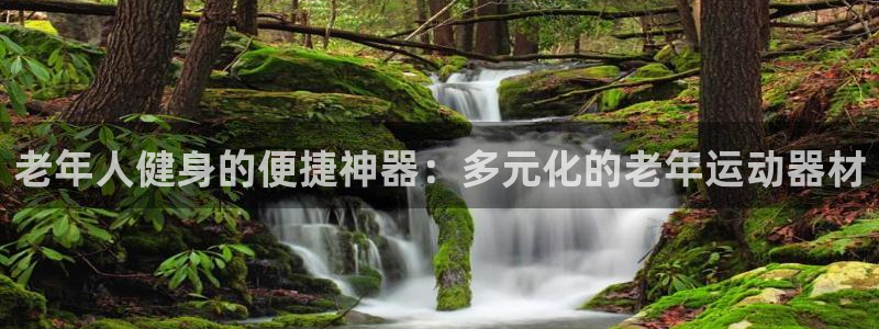 凯捷体育娱乐平台：老年人健身的便捷神器：多元化的老年