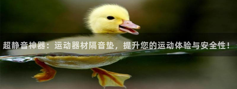 凯捷体育代理